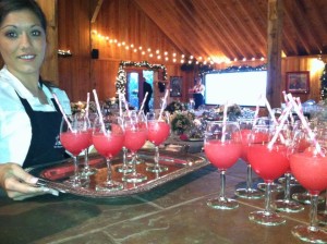 wedding reception at Stony Mountain Vineyard